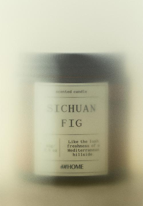 H&M - Small scented candle in glass holder - white/sichuan fig
