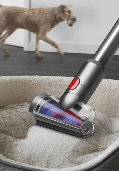 dyson - V12 DS Absolute (SV46)