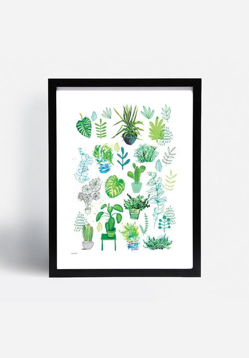 Sweet William - All my plants