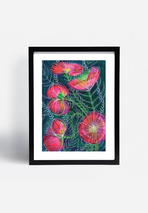 Sweet William - Always flowers