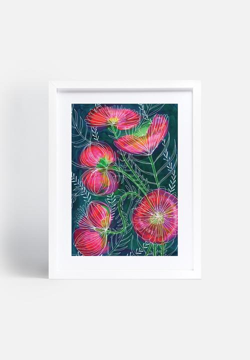 Sweet William - Always flowers