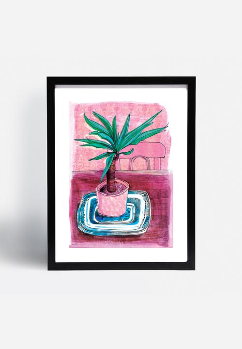 Sweet William - Little palm