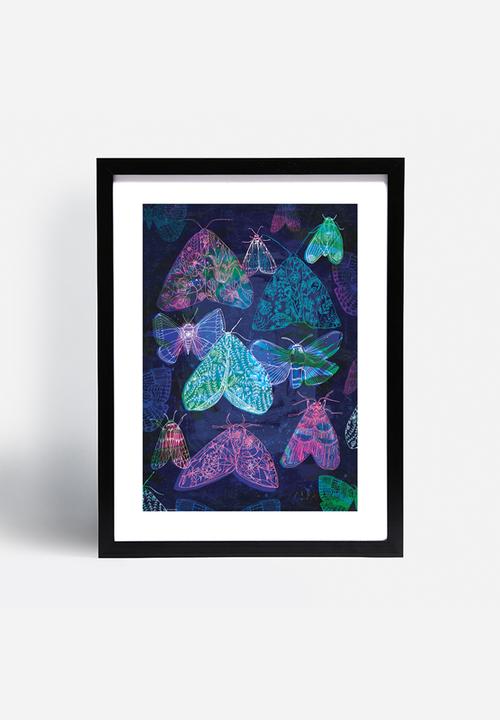 Sweet William - Floral night moths