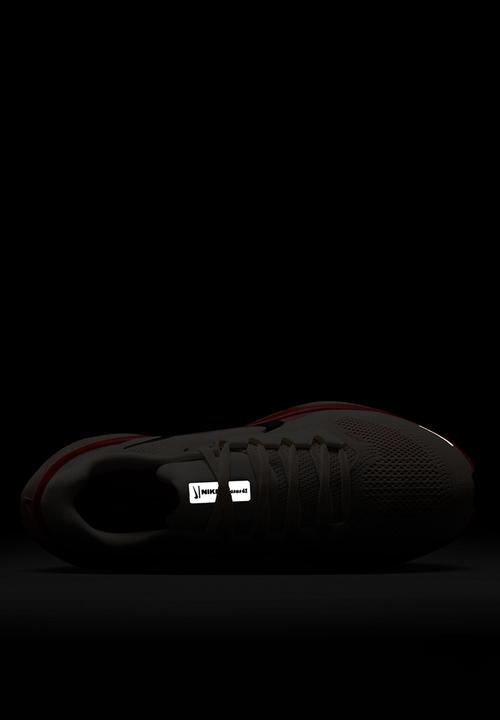 Nike - Nike Pegasus 41