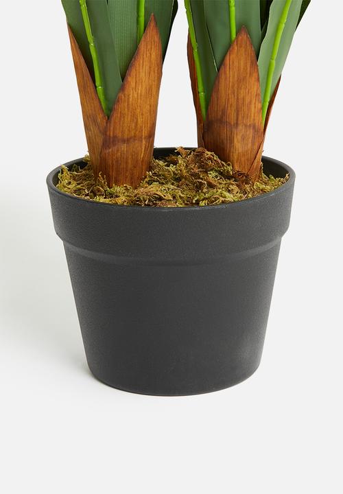 Sixth Floor - Orchid Artificial Plant - White