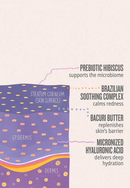 Sol de Janeiro - Delícia Drench™ Body Butter - 240ml