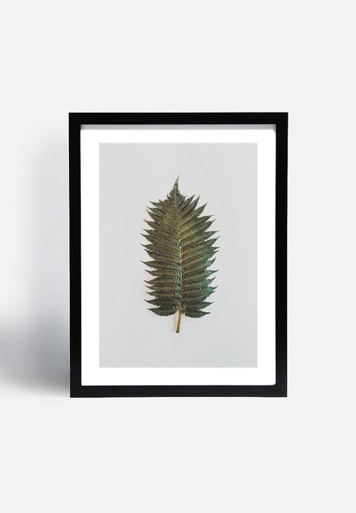 Sixth Floor - Fern 1