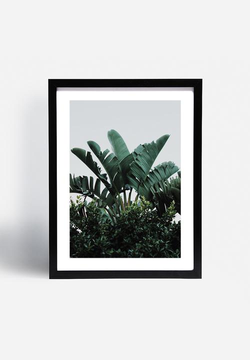 Sixth Floor - Palms 1