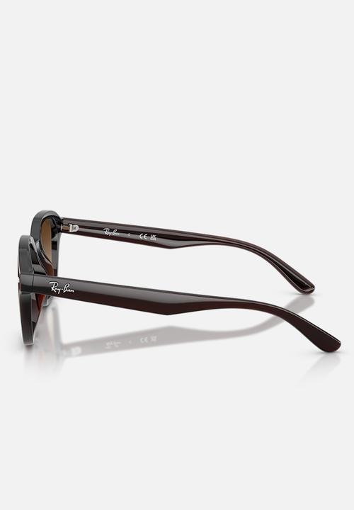 Ray-Ban - Rb - Transparent Dark Brown-Brown