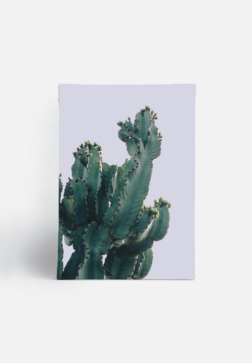 Sixth Floor - West Coast cactus 1