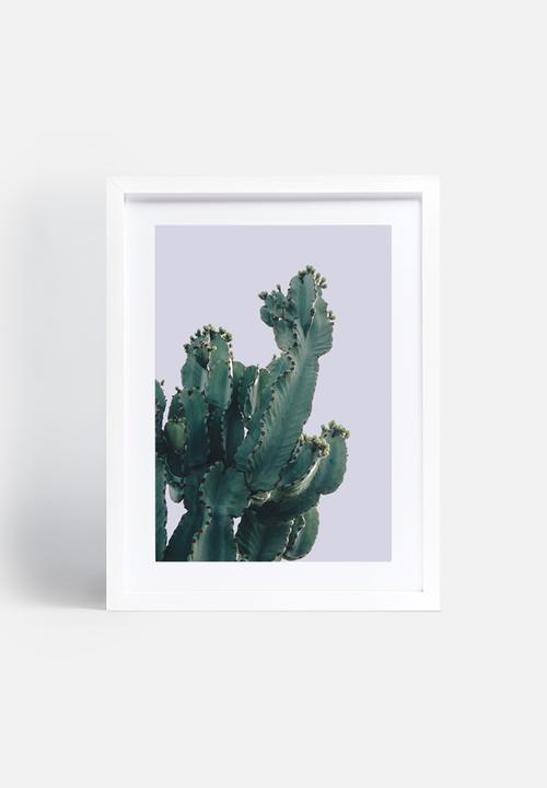 Sixth Floor - West Coast cactus 1