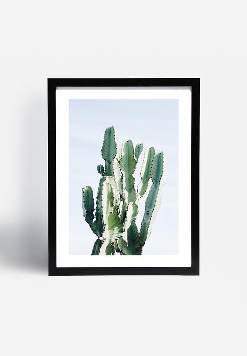 Sixth Floor - West Coast cactus 2