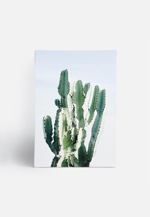 Sixth Floor - West Coast cactus 2
