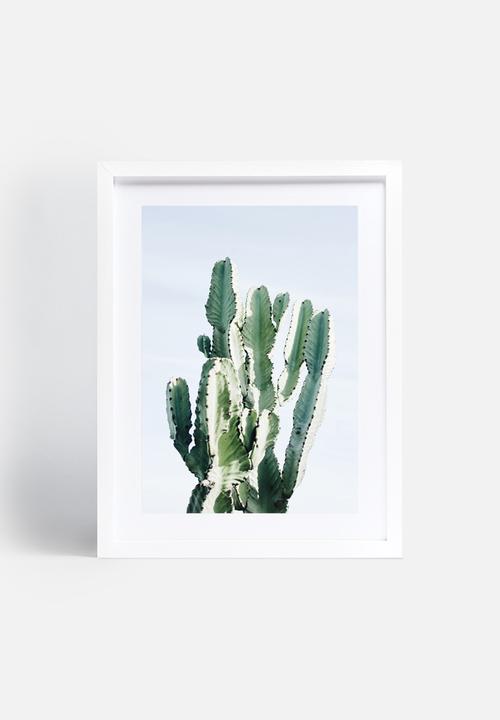 Sixth Floor - West Coast cactus 2
