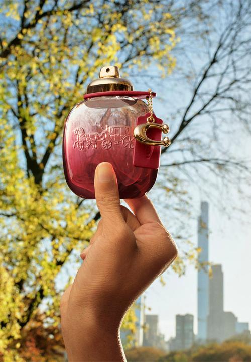 Coach - Coach Wild Rose Edp Giftset - 50ml
