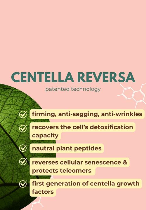 Standard Beauty - Glow Glaze Serum with 2% Argireline Amplified, Ceramide, Hyaluronic Acid & Centella Reversa