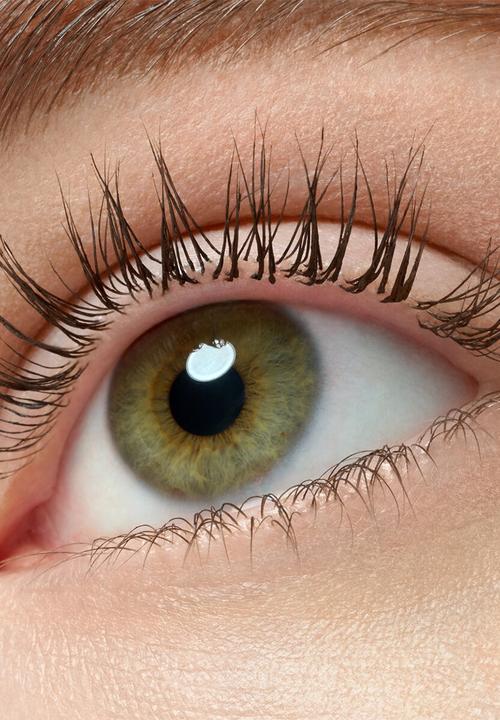 essence - Lash Princess False Lash Effect Mascara Black Brown