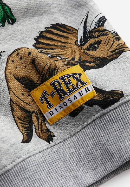 H&M - Printed hoodie - light grey/dinosaurs 