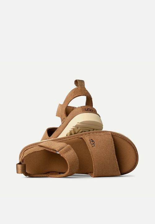 UGG® - Goldenstar - chestnut