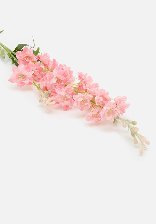 H&S - Single delphinium 85cm - light pink