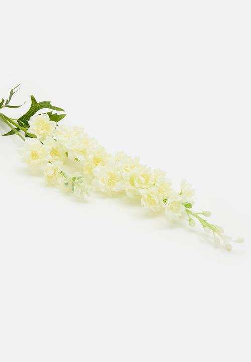 H&S - Single delphinium 85cm - white