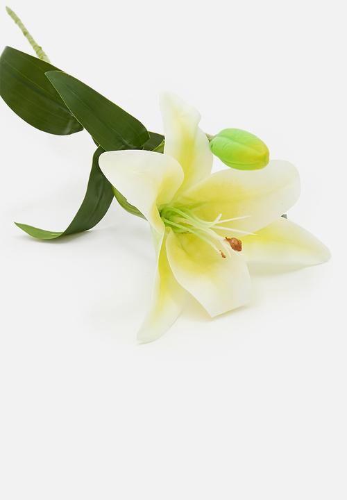 H&S - Single Lily - White