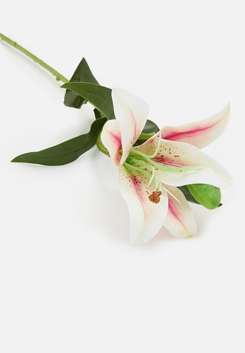 H&S - Single Lily - Pink