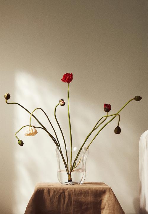H&M - Large glass vase - transparent