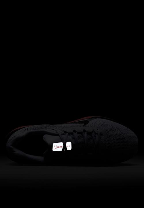 Nike - Nike Winflo 11
