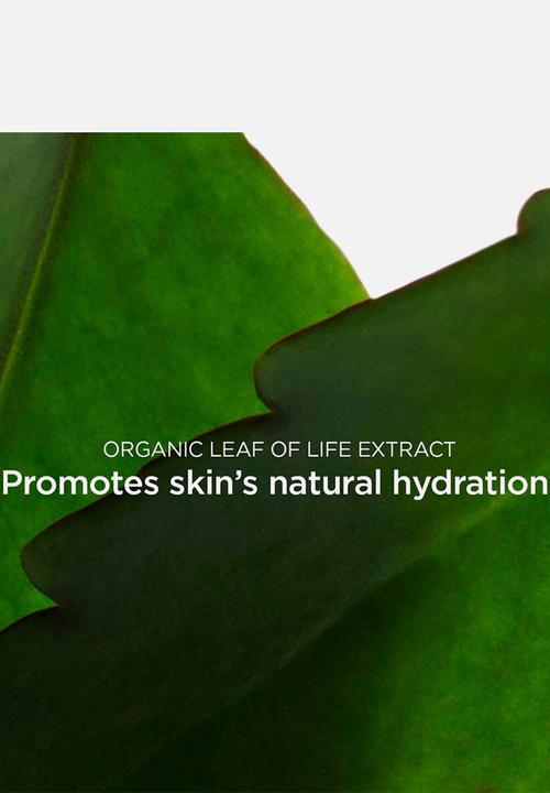 Clarins - Fresh Refreshing Cream Scrub
