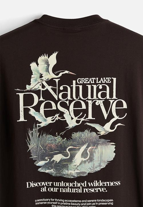 H&M - Loose fit printed t-shirt - brown great lake