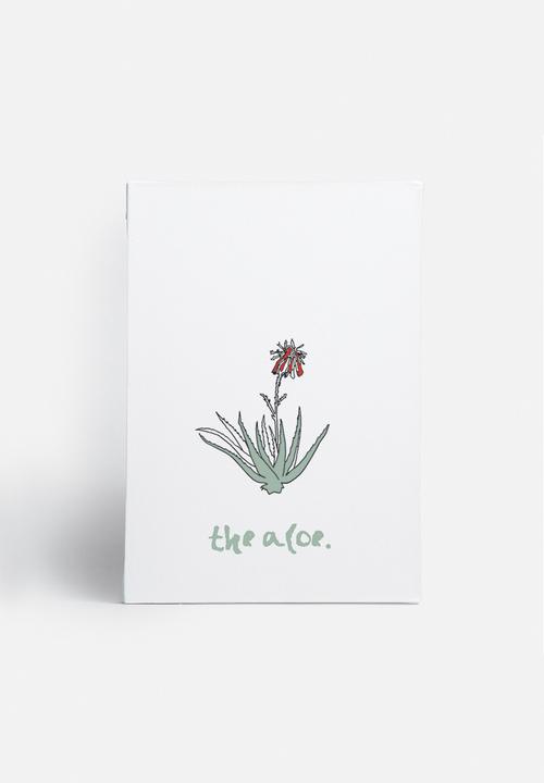 Kate Currie - The aloe