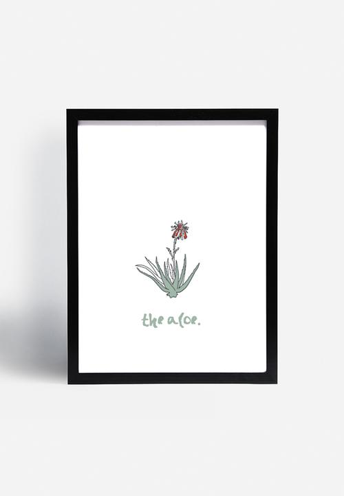 Kate Currie - The aloe
