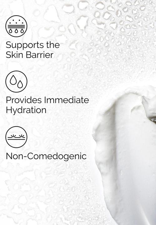 The Ordinary. - Natural Moisturizing Factors + HA - 30ml