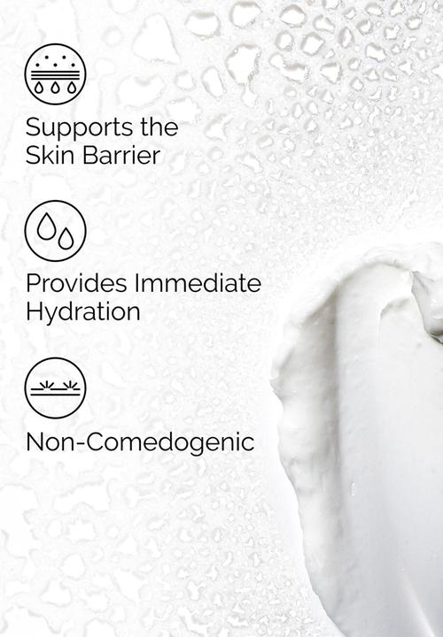The Ordinary. - Natural Moisturizing Factors + HA - 100ml