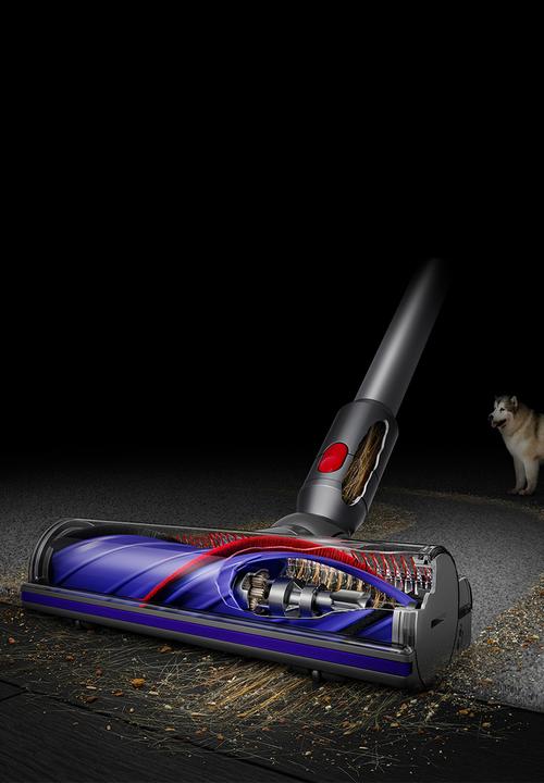 dyson - V8 (SV25) ADVANCED EU/CH Ssv/Sv/Nk