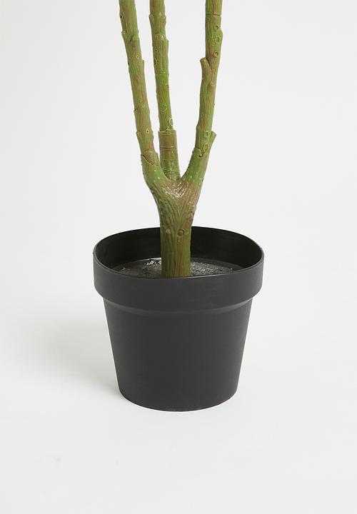 H&S - Faux 3 branch fiddle-leaf tree