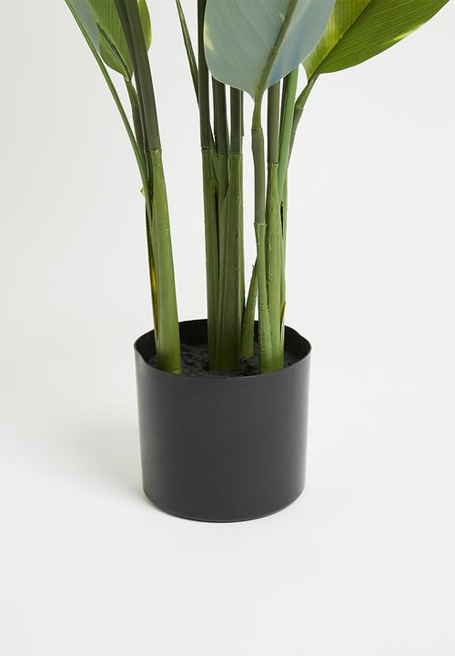 H&S - Artificial Jade plant in pot - Green