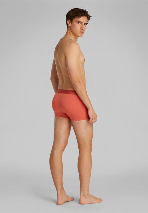 Calvin Klein - Trunk 3 Pack - Saltwater, Gr Heather, Dark Fuchsia
