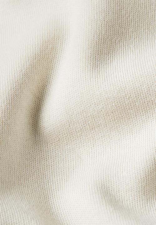 G-STAR - Sprayed Gr R T - Whitebait