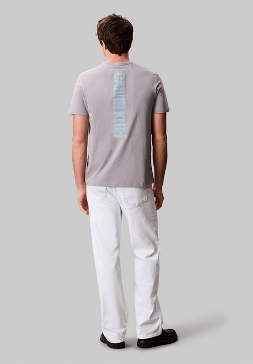 Calvin Klein - Short sleeve 30S Eu Word Stretch Graphic Tee - Steeple Gry