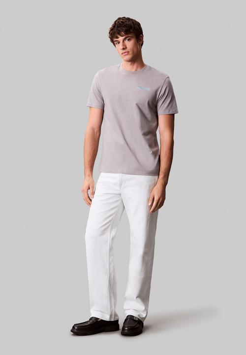 Calvin Klein - Short sleeve 30S Eu Word Stretch Graphic Tee - Steeple Gry
