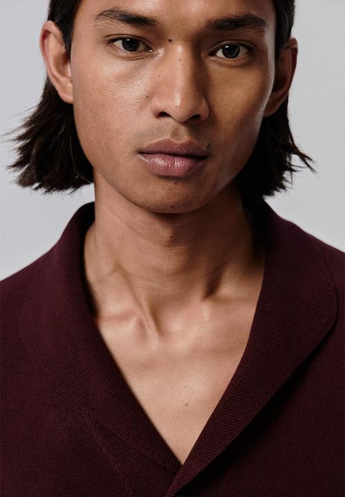 H&M - Regular fit fine-knit shirt - burgundy