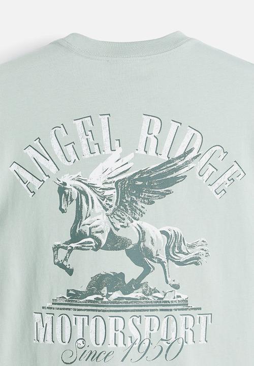H&M - Loose fit printed t-shirt - sage green angel ridge