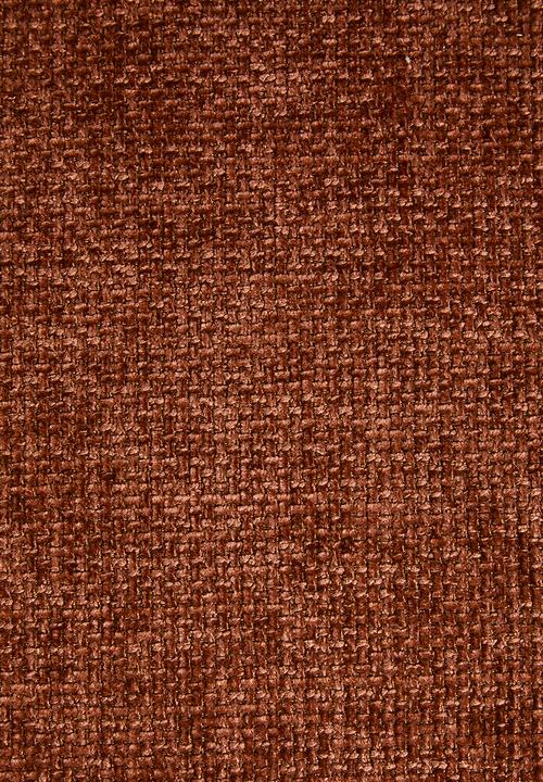 Sixth Floor - Allora Occasional Chair - Rust