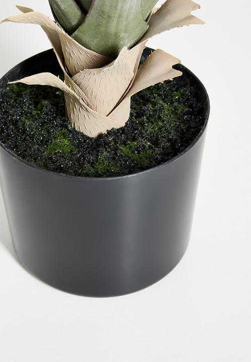 H&S - Artificial Sisal plant in pot - Green