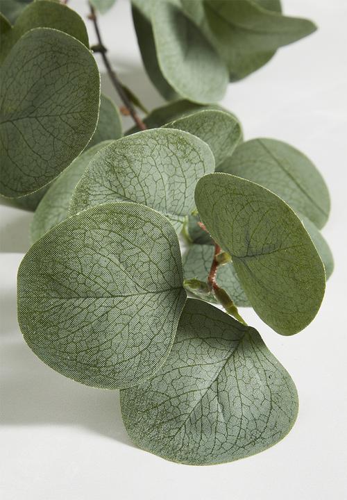 Sixth Floor - Eucalyptus Branch - Green