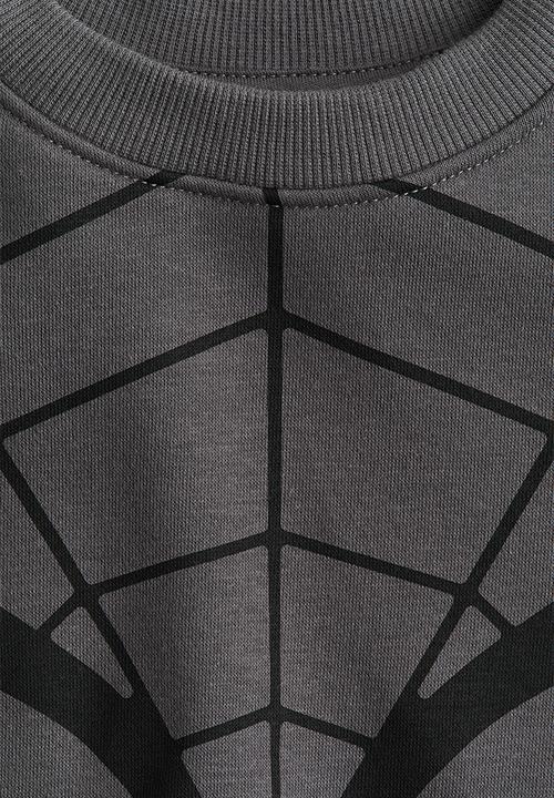 H&M - Printed sweatshirt - dark grey/spider-man 