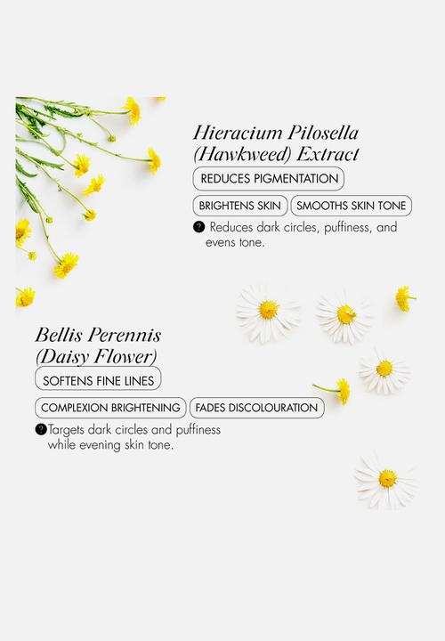 SKOON. - BRIGHT-EYED Brighten + Firm Eye Cream