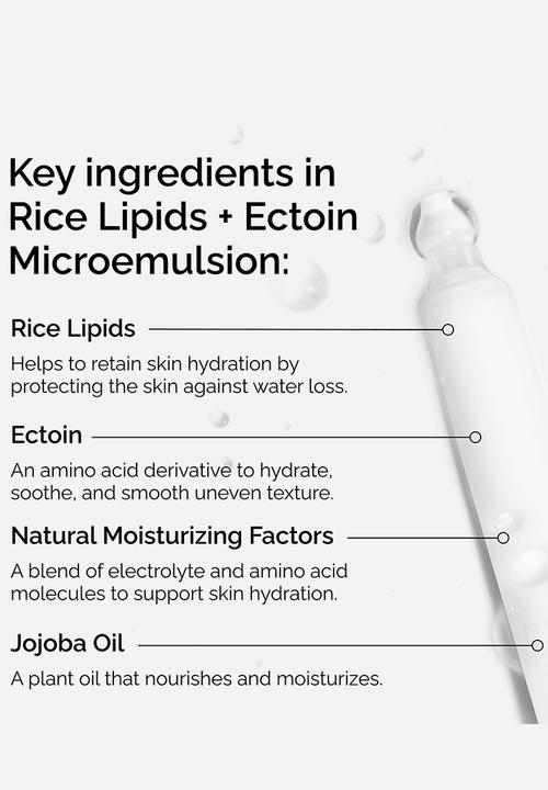The Ordinary. - Rice Lipids + Ectoin Microemulsion -  120ml
